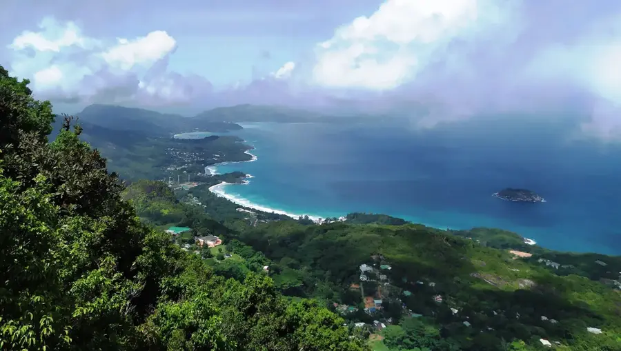 Plantația de ceai din Mahé — Pointe Larue (Seychelles)