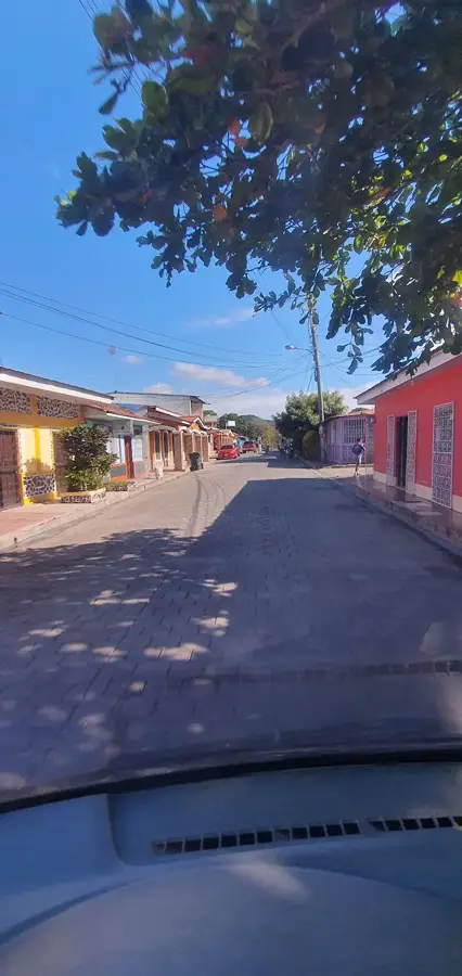 Tecolostote
