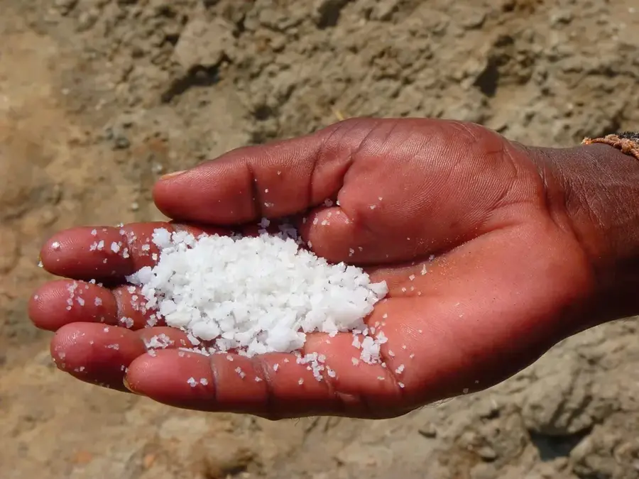 Salzgewinnung Teguidda-n-Tessoumt — Ingall (Niger)