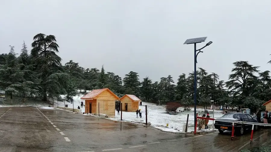 Nationalpark Theniet El Had — Chlef (Algerien)