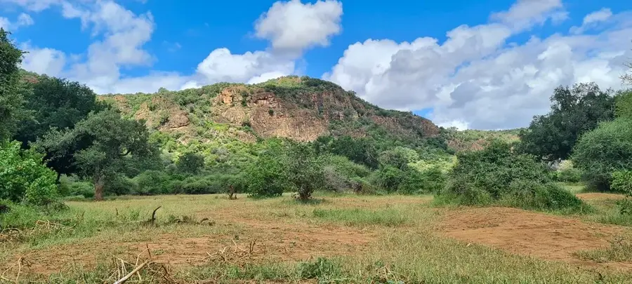 Thulamela romjai — Graskop (Dél-afrikai Köztársaság)