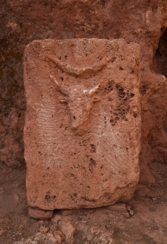 Agricultura costieră Tipaza — Damous (Algeria)