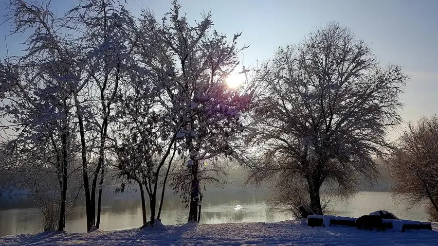 Tisza (Hungary)
