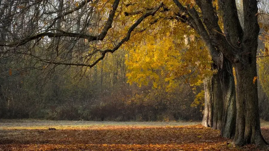 Parcul Național 'Eua