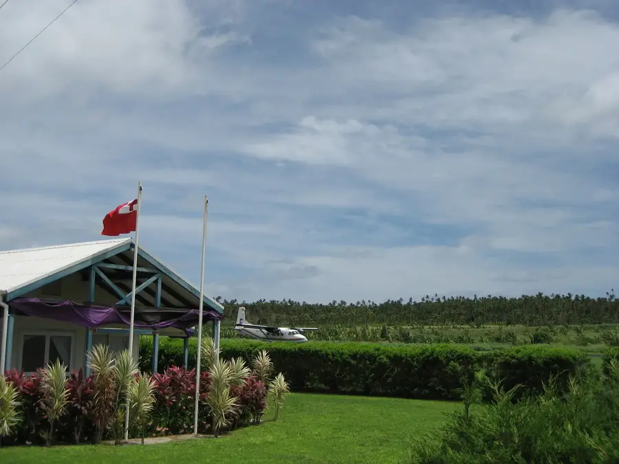 Feletoa