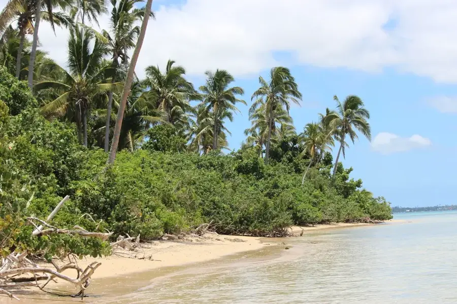 Pangaimotu Reef