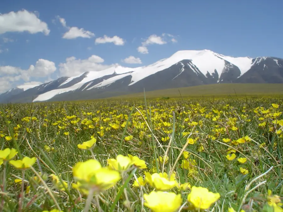 Tsambagarav Mountain — Great Lakes Depression (Mongolia)