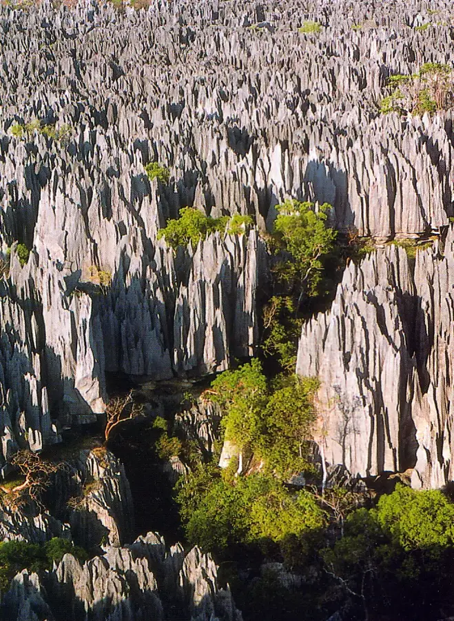 Tsingy von Bemaraha Park — Bekopaka (Madagaskar)