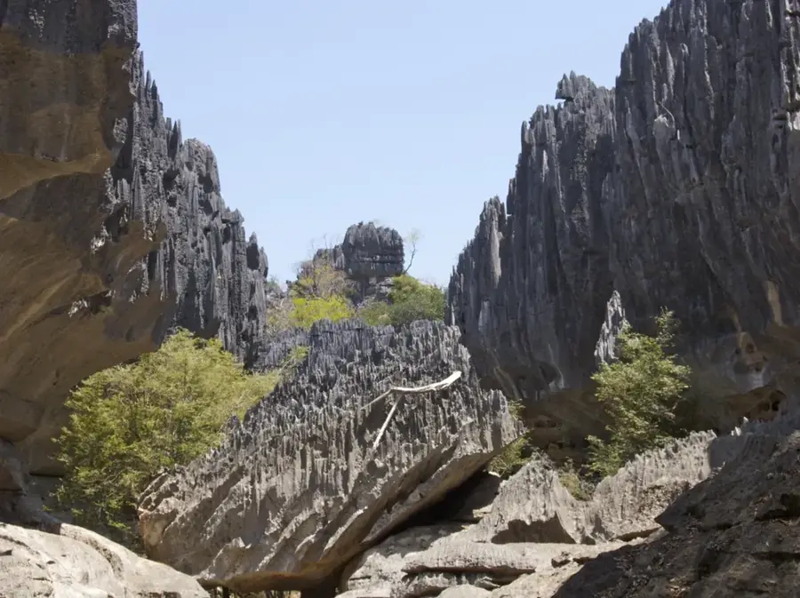 Tsingy of Namoroka Park — Amborovy (Madagascar)