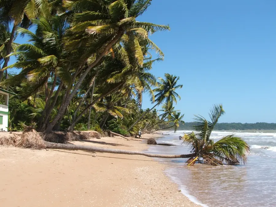 Bush Bush Schutzgebiet — Rio Claro (Trinidad und Tobago)