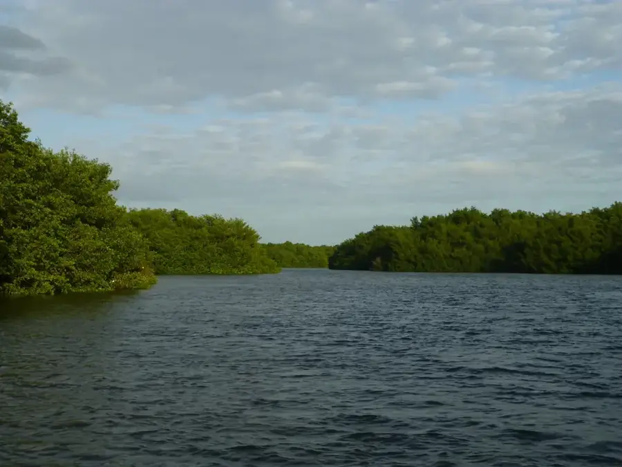 Caroni Bird Sanctuary