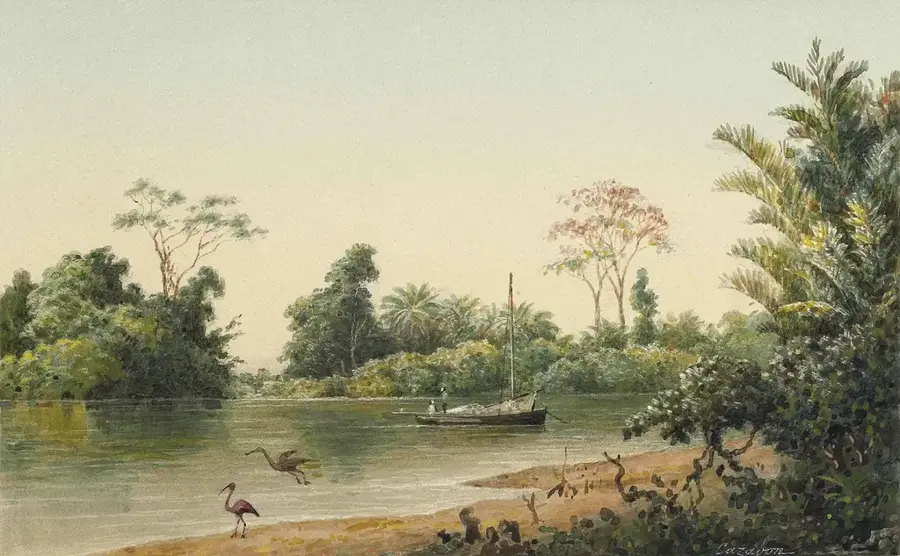 Râul Caroni — Insula Saut d'Eau (Trinidad și Tobago)