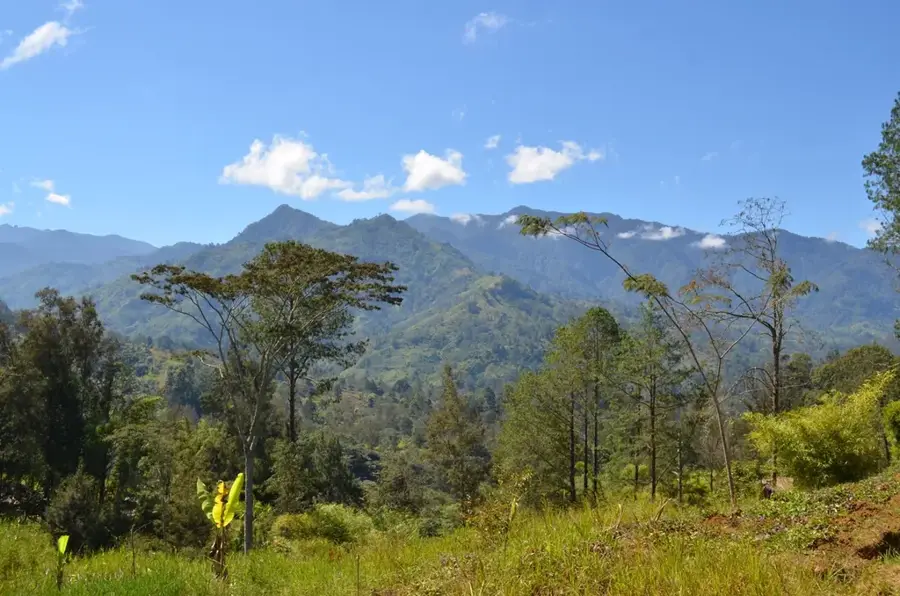 Central Range — Râul Moruga (Trinidad și Tobago)