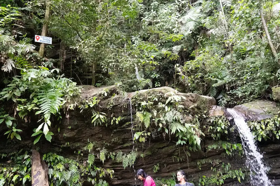 Cumaca