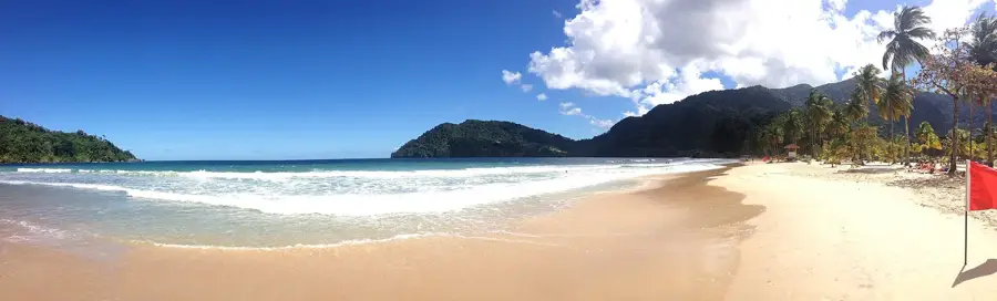 Golful Maracas
