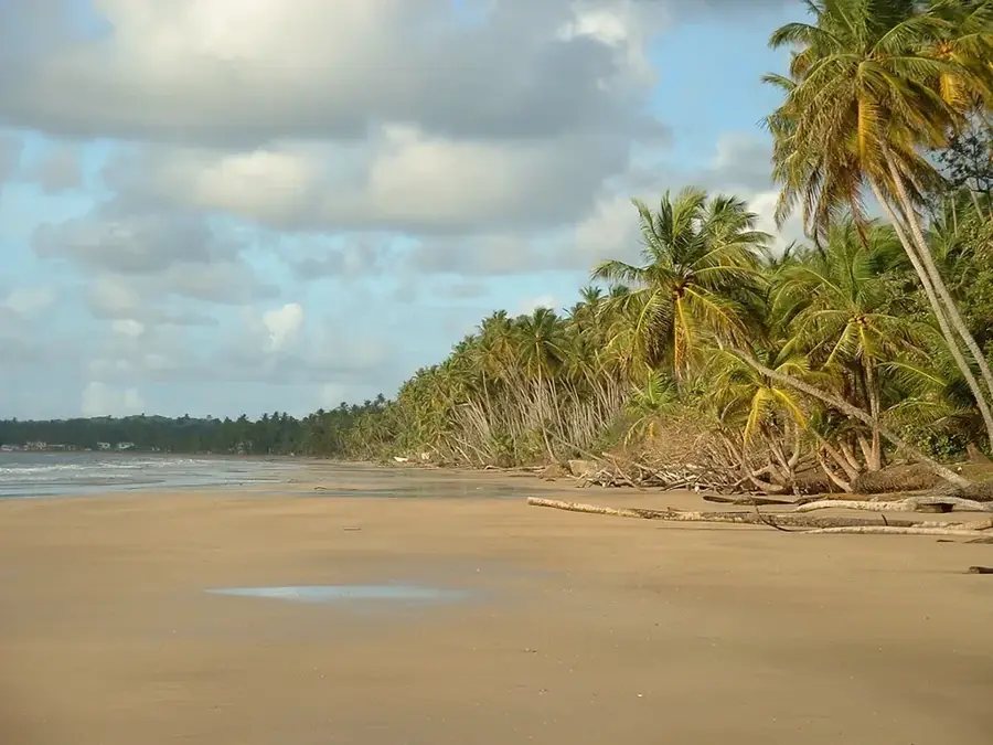 Mayaro