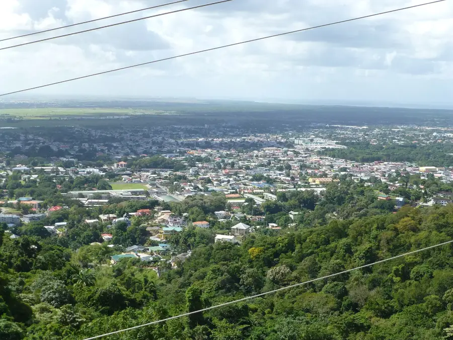 Yerette Kolibrimenedek — Arouca (Trinidad und Tobago)