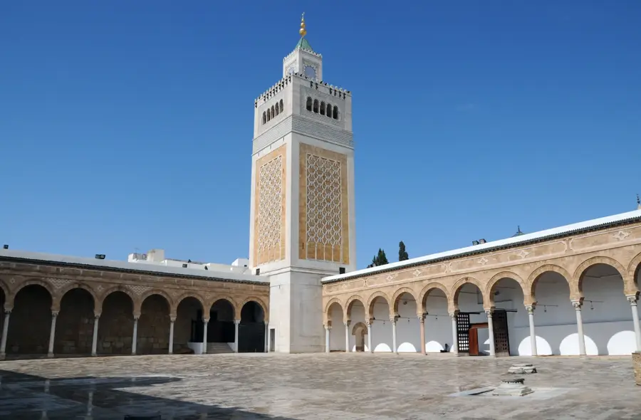 Câmpia Tunis — Tebourba (Tunisia)
