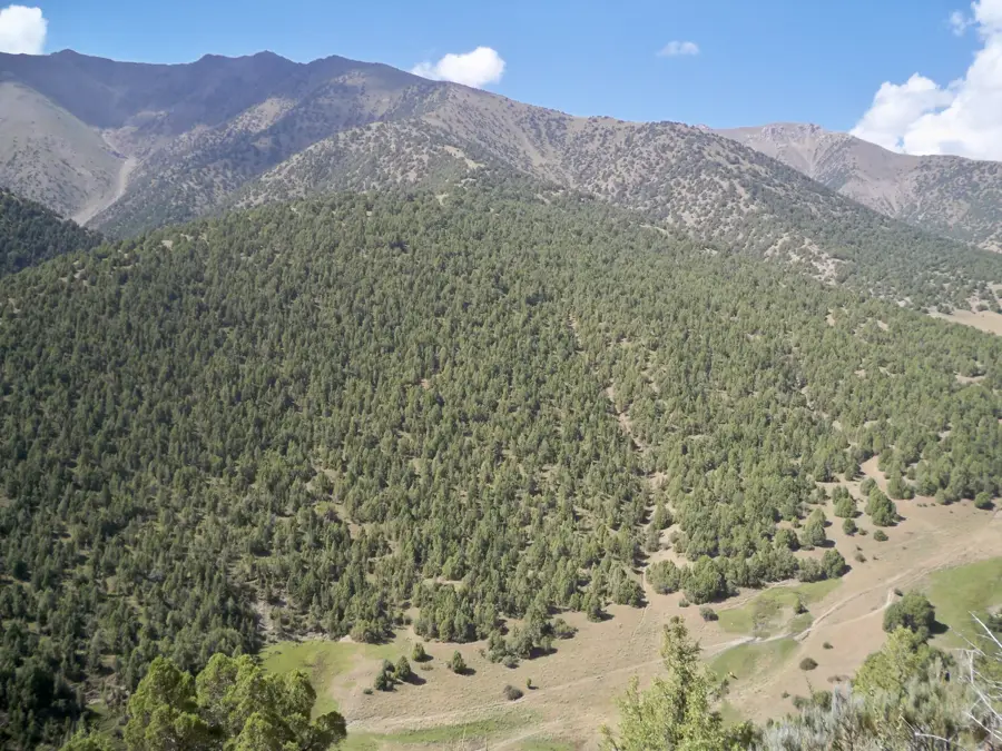 Turkestan Range