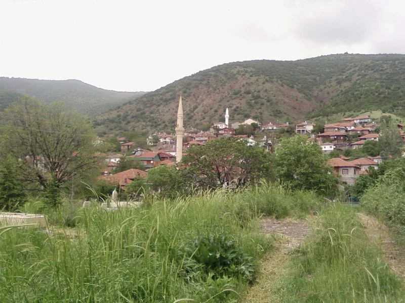 Akçakese