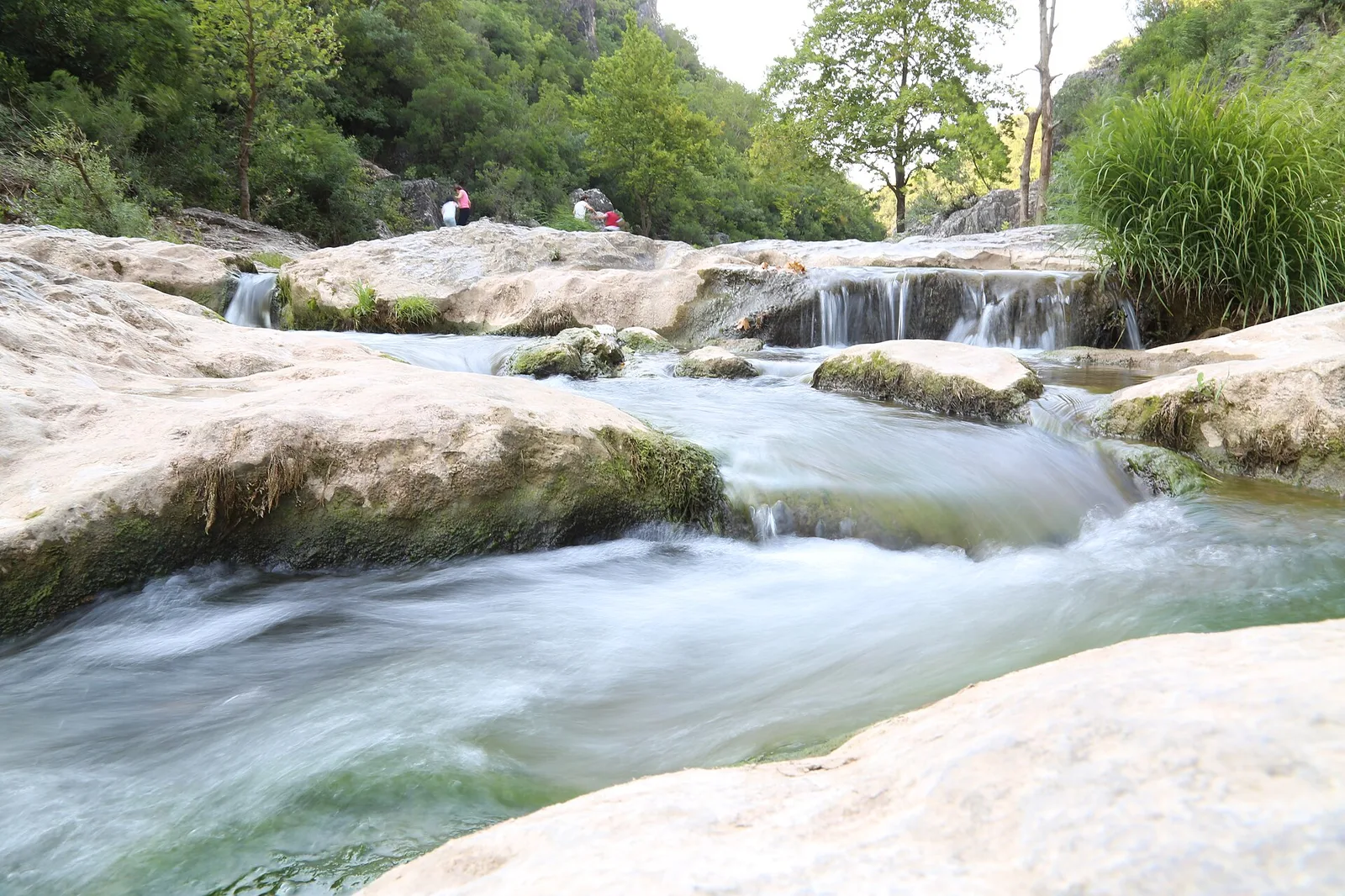 Bağırganlı