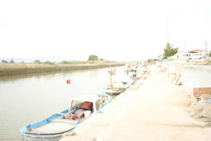 Kavakköy