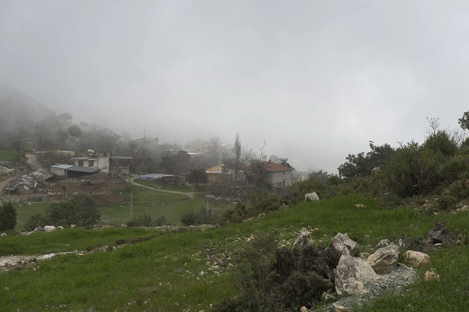 Yasirali