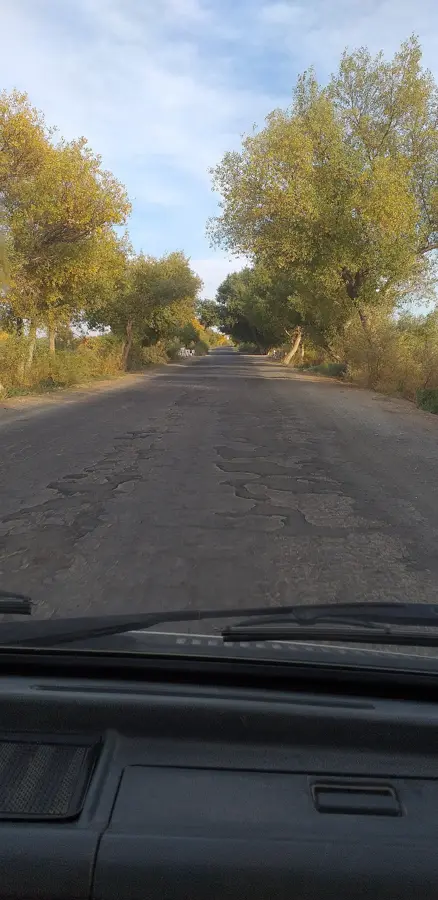 Turtkul