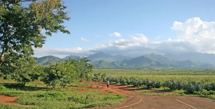 Morogoro Textilfabrik