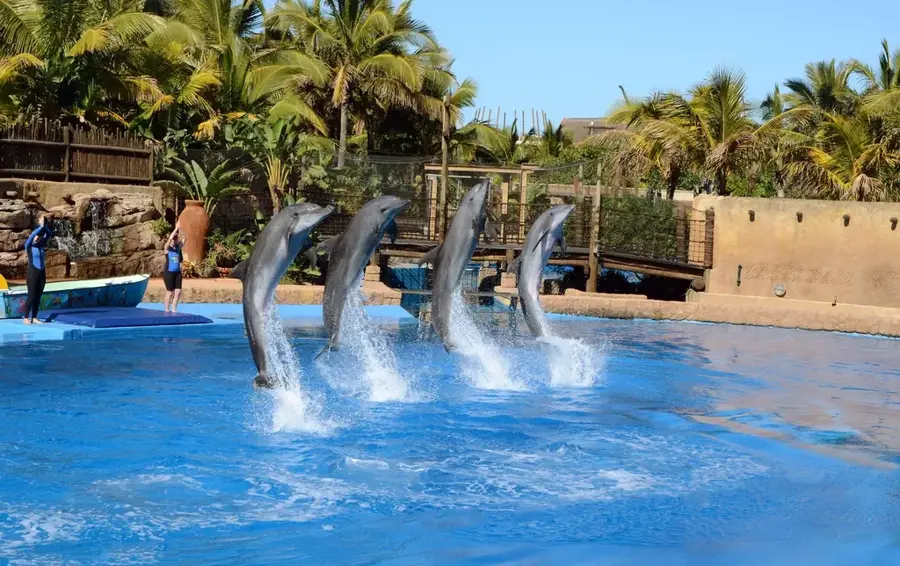 uShaka Marine World élménypark — Juma Masjid mecset (Dél-afrikai Köztársaság)