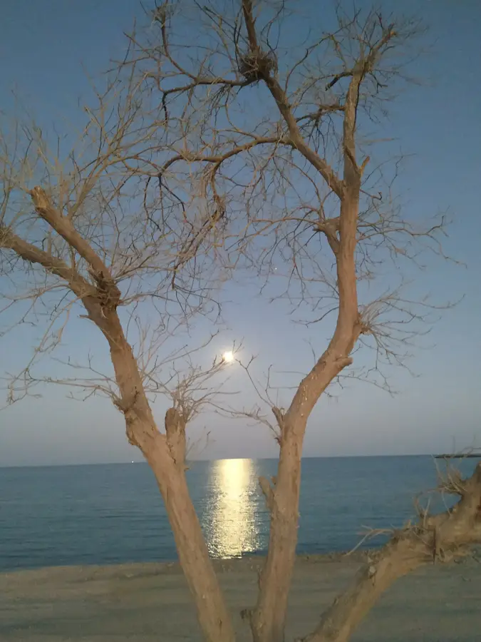 Kalba — Dadna (United Arab Emirates)
