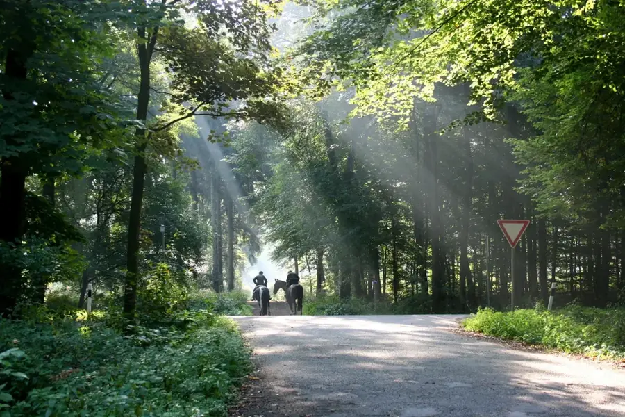 Zona de Conservare Udem — Jecheon (Coreea de Sud)