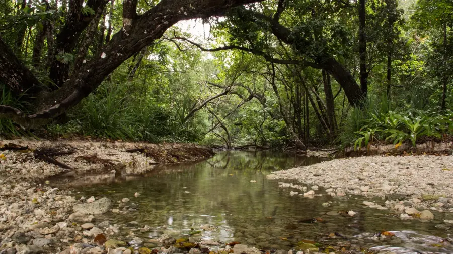 Ujung Kulon Nemzeti Park