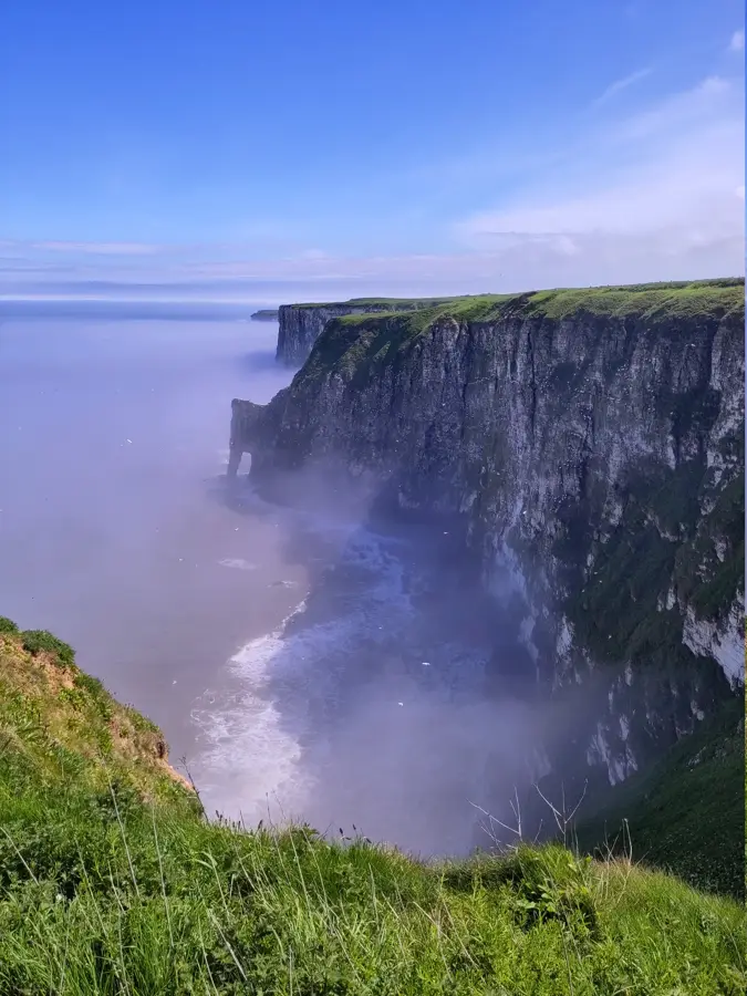 Bempton Cliffs