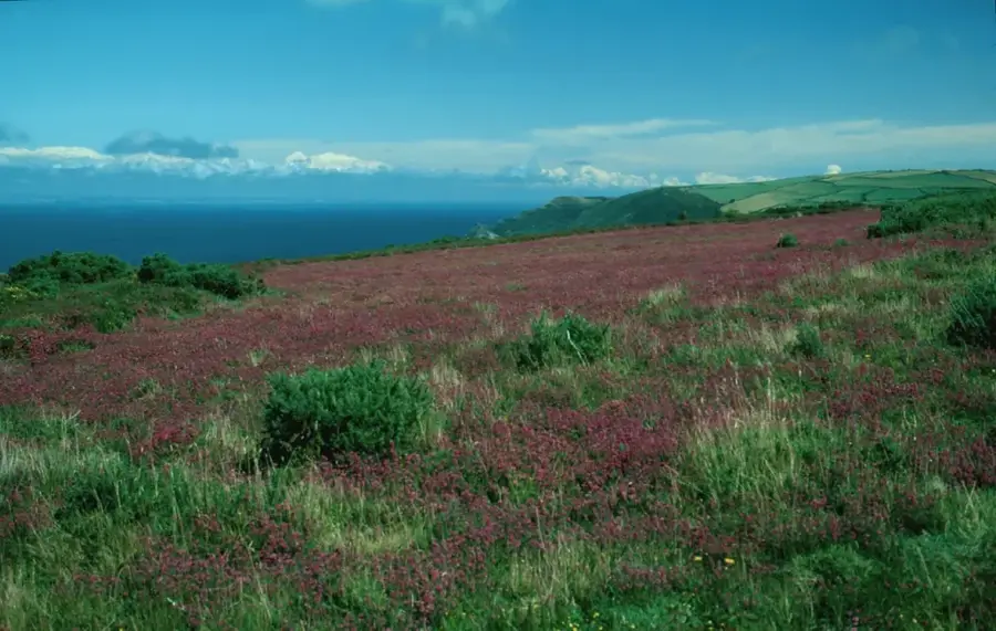 Exmoor-Nationalpark