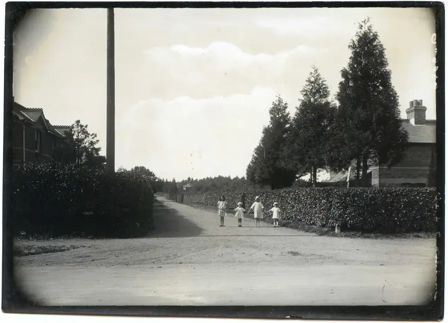 Ferndown – oraș