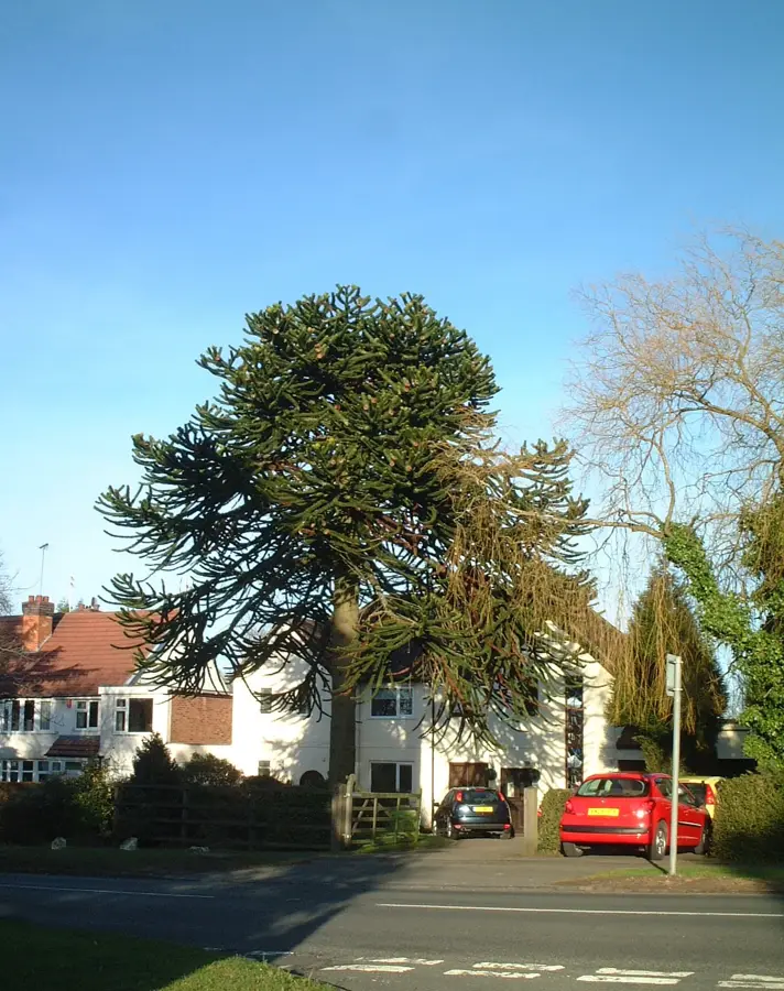 Hollywood – oraș