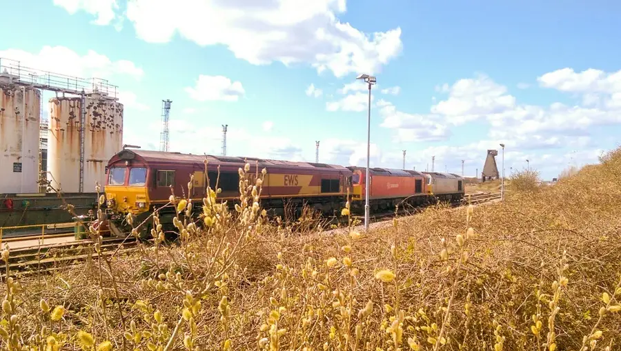 Immingham – oraș