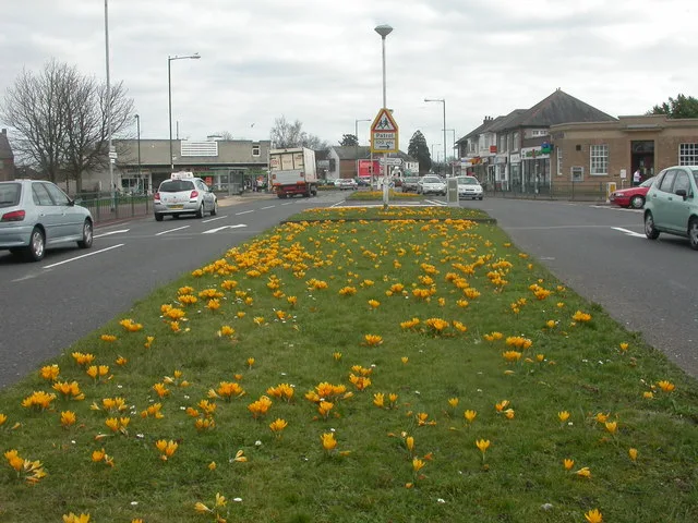 Kinson – oraș