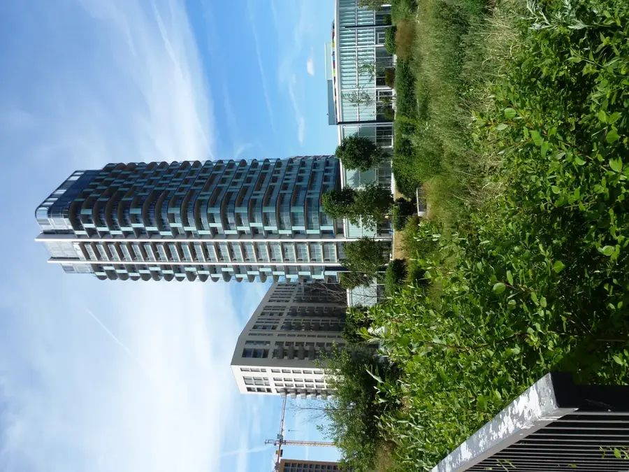 Lewisham – oraș