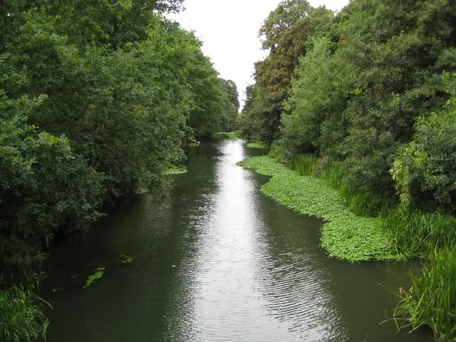 Molesey – oraș