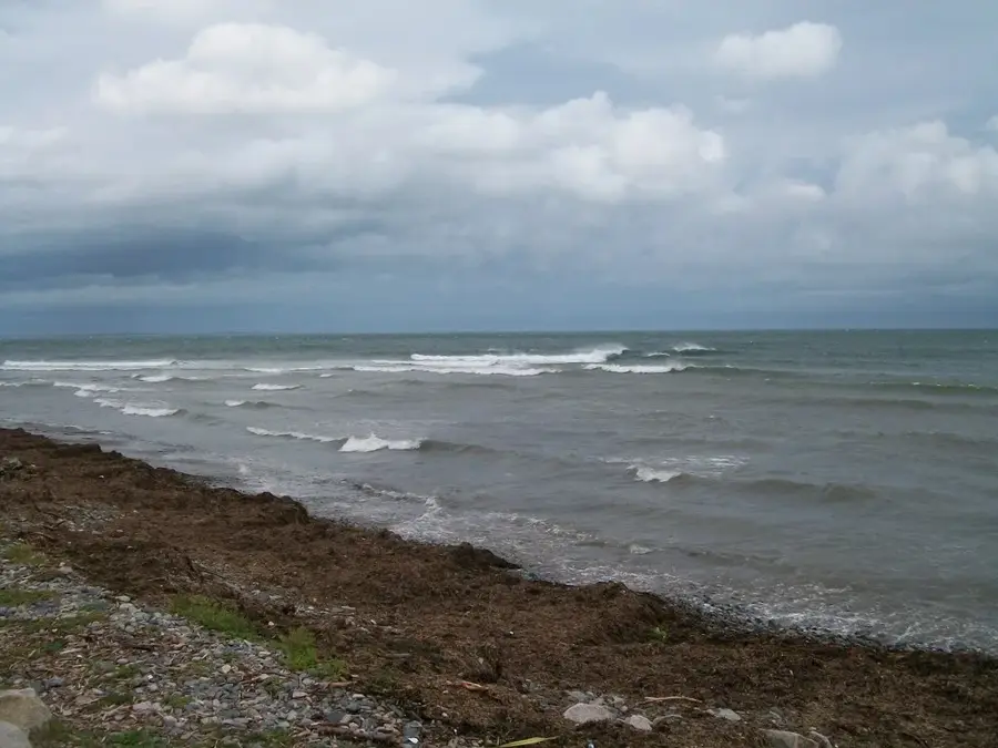 Newcastle – oraș
