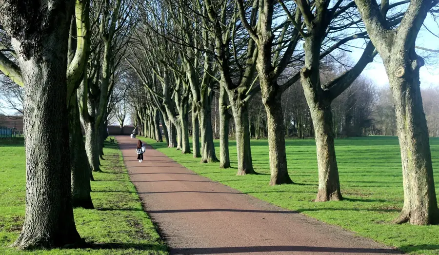 Rotherham — Harworth (Regatul Unit)