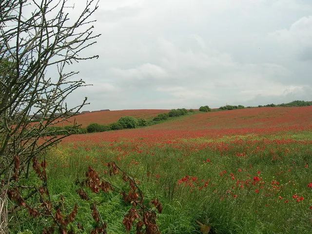 Ryton – oraș