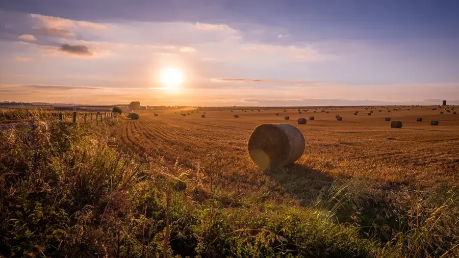Câmpia Salisbury – obiectiv turistic