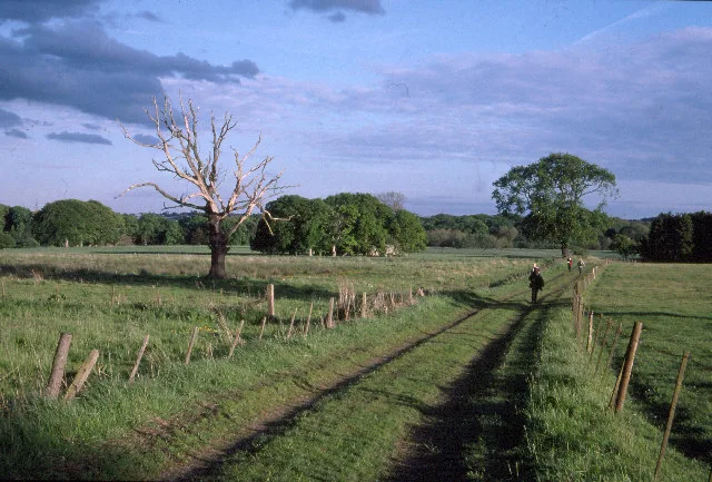 Woolsington – oraș