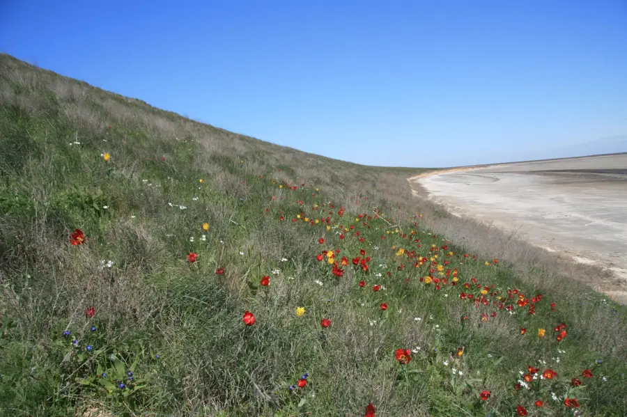 Azov-Syvash National Nature Park