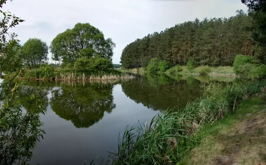 Desniansko-Starohutskyi National Nature Park