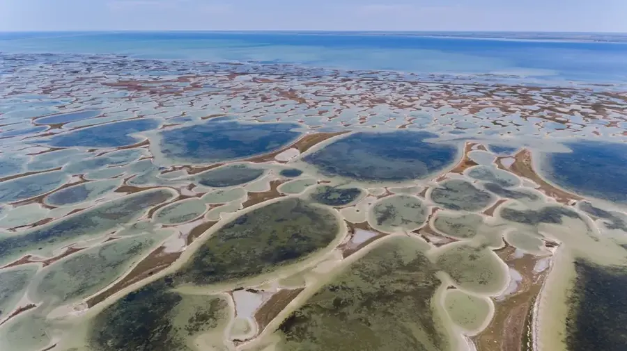 Dzharylhach Island