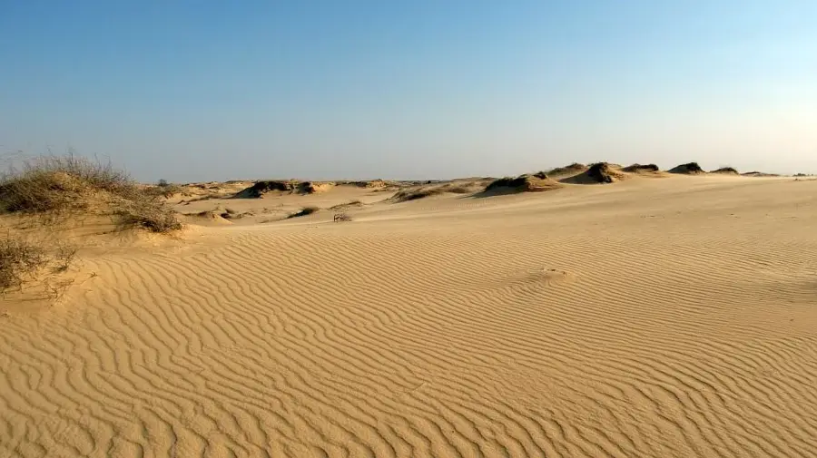 Oleshky Sands